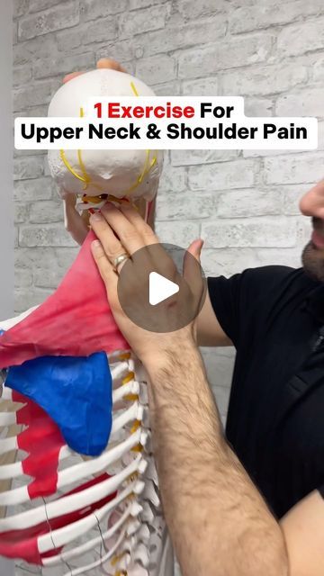 Neck Pain Relief Stretches, Neck Pain Stretches, Neck Pain Exercises, Reduce Headaches, Forward Head Posture Exercises, Shoulder Pain Exercises, Neck And Shoulder Exercises, Shoulder Stretches, Neck And Shoulder Muscles