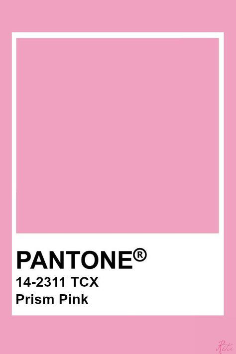 Peach Pantone, Highlight Colors, Pantone Tcx, Pantone Colours, Pantone Color Chart, Pantone Swatches, Pantone 2020, Pantone Palette, Pantone Colour Palettes