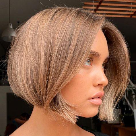 50 Best Bob Haircuts and Bob Hairstyles for 2023 - Hair Adviser Bubble Bob, Sleek Bob Hairstyles, Chin Length Haircuts, Trendy Bob Hairstyles, Best Bob Haircuts, Choppy Bob, Chin Length Hair, Silver Blonde, Sleek Bob