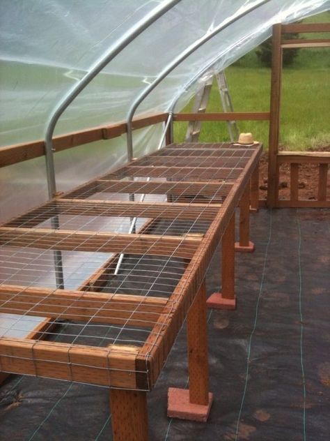 Greenhouse Renovation, Diy Greenhouse Shelves, Greenhouse Tables, Inside A Greenhouse, Greenhouse Benches, Greenhouse Shelves, Greenhouse Farming, Diy Greenhouse Plans, Best Greenhouse