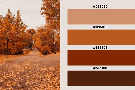 Canva Fall Color Palette, Autumn Hex Codes, Aesthetic Hex Codes, Warm Autumn Aesthetic, Autumn Color Palette Outfits, Walk Aesthetic, Autumn Color Palette, Autumn Walk, Hex Color