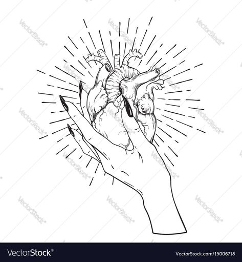 Heart In Hand Reference, Hands Holding A Heart Tattoo, Heart In Hands Tattoo, Hand Holding Anatomical Heart, Hand Holding A Heart Tattoo, Hand And Heart Drawing, Hands Holding Heart Drawing, Hand Holding Butterfly Tattoo, Hand Holding Heart Reference