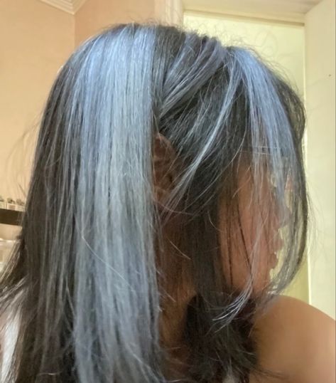 Blue Chunky Highlights, Brown Hair Blue Highlights, Ash Blue Hair, Ice Blue Hair, Blue Hair Streaks, Blue Brown Hair, Sky Blue Hair, Blue Grey Hair, Two Color Hair