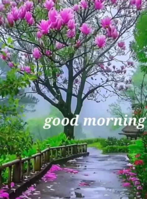 Good Morning With Flowers, Happy Monday Good Morning, Monday Good Morning Wishes, Monday Good Morning, Good Morning Wish, Good Morning Gif Images, Good Morning Sun, Good Morning Monday Images, Beautiful Good Morning Wishes