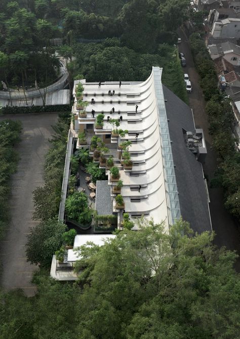 Image 6 of 33 from gallery of Aruma Split Garden / RAD+ar (Research Artistic Design + architecture). Photograph by Mario Wibowo Indonesian Restaurant, Roof Architecture, Concrete Roof, Architectural Practice, Garden Pictures, Split Level, Roof Terrace, Roof Garden, Roof Design