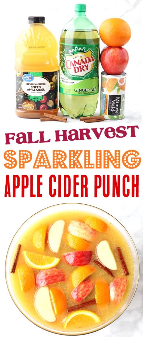 Sparkling Apple Cider Punch Recipe! {4 Ingredients} - The Frugal Girls Fall Harvest Sparkling Apple Cider Punch, Sparkling Cider Non Alcoholic, Fall Wedding Punch Recipes, Sparkling Fall Cocktails, Fall Wedding Punch Recipes Non Alcoholic, Fall Party Punch Non Alcoholic, Apple Cider Ideas, Sparkling Apple Cider Non Alcoholic, Harvest Punch Non Alcoholic