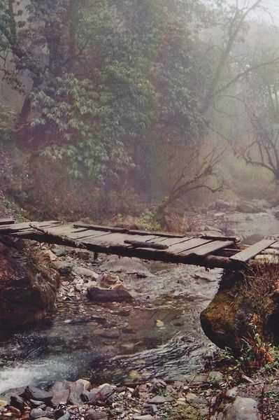 Foot bridge, Nepal Appalachian Mountains, Appalachian Trail, Pics Art, Country Life, In The Woods, West Virginia, In The Middle, Happy Places, The Great Outdoors