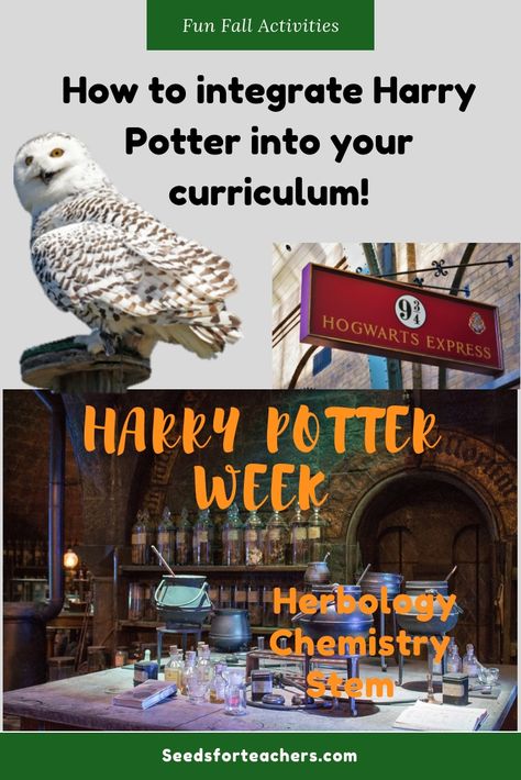 Harry Potter Unit Study, Harry Potter Lessons, Hogwarts Classroom, Mixtures And Solutions, Harry Potter Classes, Harry Potter Pumpkin, Harry Potter Activities, Penpal Ideas, Harry Potter Day