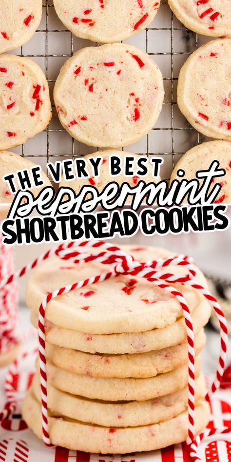 Peppermint Shortbread Cookies Holiday Peppermint Cookies, Shortbread Peppermint Cookies, Peppermint Andes Cookies, Peppermint Shortbread Cookies Recipe, Peppermint Holiday Treats, Peppermint Extract Cookies, Christmas Cookies Recipes Peppermint, Christmas Shortbread Cookies Recipes, Peppermint Butter Cookies