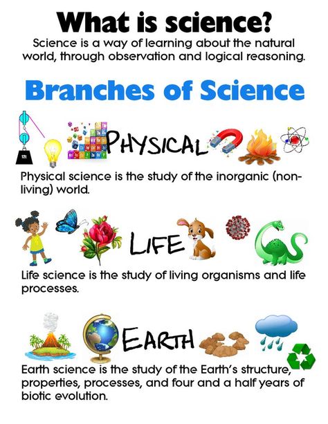 Science Chart, Logic And Critical Thinking, Earth Science Lessons, Science Anchor Charts, Branches Of Science, Teaching Geography, First Grade Science, Primary Science, Third Grade Science