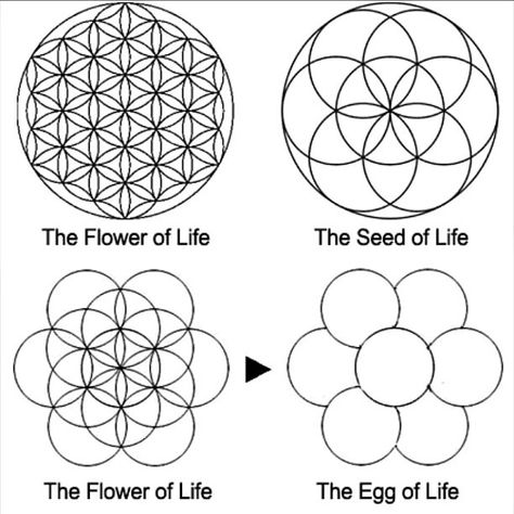 The flower of life symbol is a geometrical mathematical pa… | Flickr Nature Sacred Geometry, Flower Of Life Meaning, Sacred Geometry Universe, Egg Of Life, Sacred Geometry Flower Of Life, Flower Of Life Tattoo, Flower Of Life Symbol, Alien Life, Geometric Nature