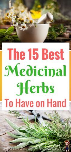 The 15 Best Medicinal Herbs to Always Have in the House. For the home herbalist and those wanting to treat ailments naturally. Medical Herbs, Natural Healing Remedies, Herbs For Health, Have Inspiration, Natural Therapy, Healing Herbs, Natural Health Remedies, Natural Home Remedies, Medicinal Herbs