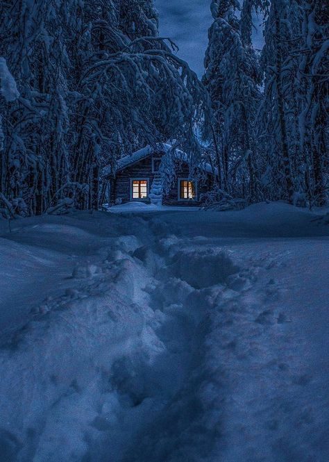 colour my world Snow Cabin, Alaska Winter, Snowy Cabin, A Cabin In The Woods, Snowy Woods, Cabin Aesthetic, Lapland Finland, Forest Cabin, Snowy Forest