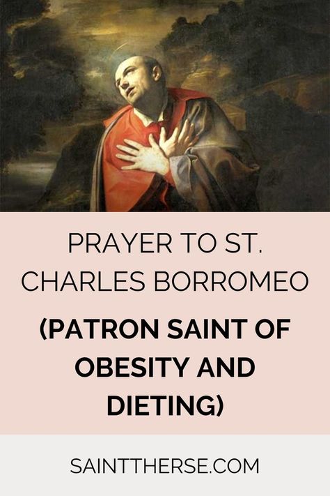 Patron Saint of Obesity and Dieting St Charles Borromeo, Saint Charles Borromeo, Prayer For Parents, Catholic Beliefs, Novena Prayers, Saint Quotes, St Charles, Prayers For Healing, Saint Charles