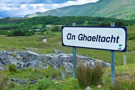 Irish language’s centuries-old roots explored in new DNA study Irish Words, Everyday English, Irish Language, Irish Quotes, Language Works, Irish Roots, Places In America, Irish Culture, Irish Music