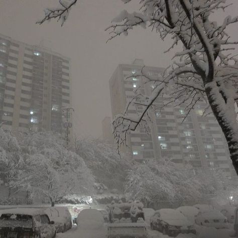 Russian Winter, Arte Peculiar, Dark White, I Love Winter, Winter Scenery, Snowy Day, Best Seasons, Winter Aesthetic, City Aesthetic