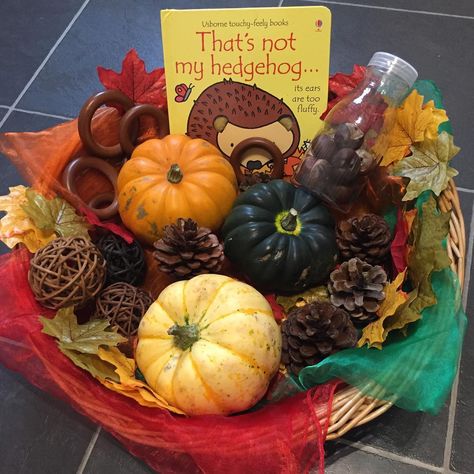 Autumn Treasure Basket, Baby Treasure Basket, Autumn Board, November Classroom, Emergent Literacy, Treasure Basket, Infant Room, Toddler Arts And Crafts, Instagram Autumn