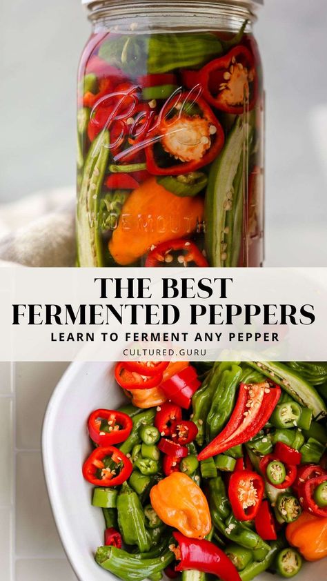 How do you make fermented peppers? How much salt should you use in a pepper fermentation recipe? Are fermented peppers good for gut health? Good news: We're here to answer all of your questions and more with our Easy Pepper Fermentation Recipe! Learn how to ferment any type of pepper at home. #fermentation #peppers How To Ferment Peppers For Hot Sauce, Fermented Cayenne Peppers, Fermented Peppers, Canning Basics, Good For Gut Health, Fermenting Vegetables, Pickled Recipes, Fermented Vegetables Recipes, Hot Pepper Recipes