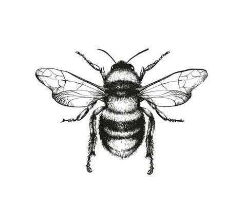 Polynesian Tattoos, Lotus Tattoo, Geometric Tattoos, Honey Bee Tattoo, Bee Drawing, Insect Tattoo, Bee Illustration, Engraving Illustration, Bee Tattoo