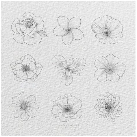 Dahlia Drawing, Dahlia Tattoo, Simple Flower Drawing, David Austin Rose, Son Tattoo, Dog Rose, Austin Rose, Flower Drawing Tutorials, Tattoo For Son