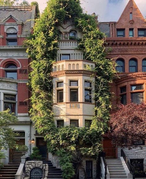 Upper West Side Aesthetic, White Picket Fence Ideas, Picket Fence Ideas, Asthetic Pics, New York Townhouse, Nyc Townhouse, Citizen Of The World, Upper Manhattan, Townhouse Exterior