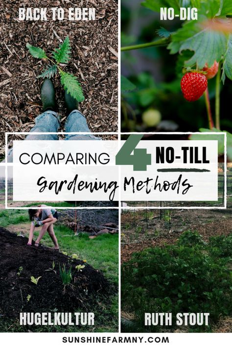 Comparing No-Till Gardening Methods: Back to Eden, Ruth Stout, No Dig, Hugelkultur – SUNSHINE FARM Huglekulture Permaculture, Hugelkulture Gardening, Back To Eden Garden Layout, Hugelkultur Garden Design, No Till Garden Layout, No Dig Gardening, Garden Guilds, No Till Gardening, Back To Eden Gardening