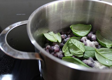 Basil Syrup Recipe, Basil Syrup, Homemade Blueberry Syrup, Blueberry Simple Syrup, Basil Simple Syrup, Blueberry Basil, Basil Cocktail, Fruit Sauce, Simple Syrup Recipes