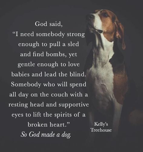 Prayer For Sick Dog, Losing A Dog Quotes, Fur Baby Quotes, Pet Poems, Dog Poems, Comfort Words, Dog Quotes Love, Funny Baby Quotes, Sick Dog