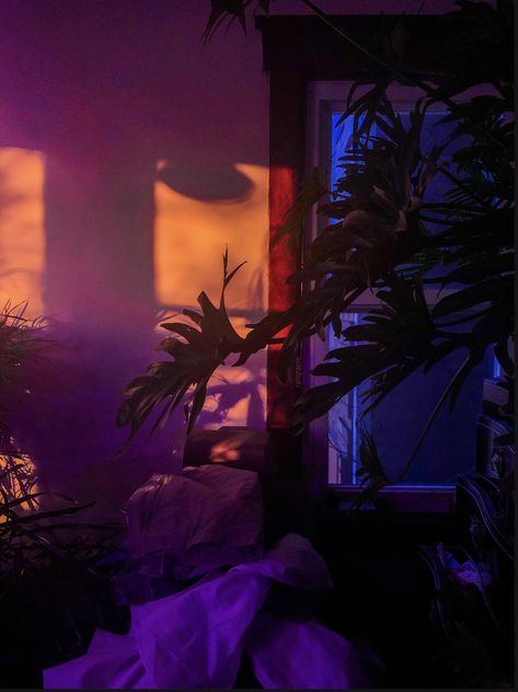 plant room aesthetic dark night golden hour purple yellow orange blue lights Room Aesthetic Dark, Plant Room Aesthetic, Purple Yellow Orange, Plant Room, Blue Lights, Plant Aesthetic, Aesthetic Dark, Dark Night, Golden Hour