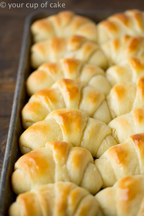 The World's Best Potato Rolls will ruin you.  You'll never want to make frozen rolls again after having these buttery, delicious, pillowy soft dinner rolls.  The Recipe for the World's Best Potato Rolls You think I'm kidding.  I dare you to find a better recipe!  Every time I make these people beg for the recipe and say, 'These are the best rolls I've ever had.'  I made them for my husband the first time last week and when he bit into one his eyes lit up like a little kid at Christmas! He was Best Roll Recipe, Best Rolls, Rolls Dinner, Cup Of Cake, Frozen Rolls, Potato Rolls, Pan Relleno, Bread Rolls Recipe, Freshly Baked Bread