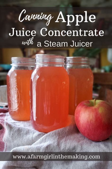 Canning apple juice concentrate is a delicious way to preserve the apple harvest. The extraction process is made simple with the use of a steam juicer. However, preserving the juice concentrate is even simpler with the use of a revolutionized tool known as a steam canner. But the goodness doesn’t stop there! Make sure to use the pulp from the apples to make applesauce. #applejuice #canningapplejuice #apples How To Can Apple Juice, Homemade Juice Concentrate, Steam Canner Recipes, Canning Apple Juice Recipes, Canning Juice From Juicer, Apple Juice Concentrate Recipes, How To Make Apple Juice With A Steam Juicer, How To Use A Steam Juicer, Canning Apple Juice With Juicer