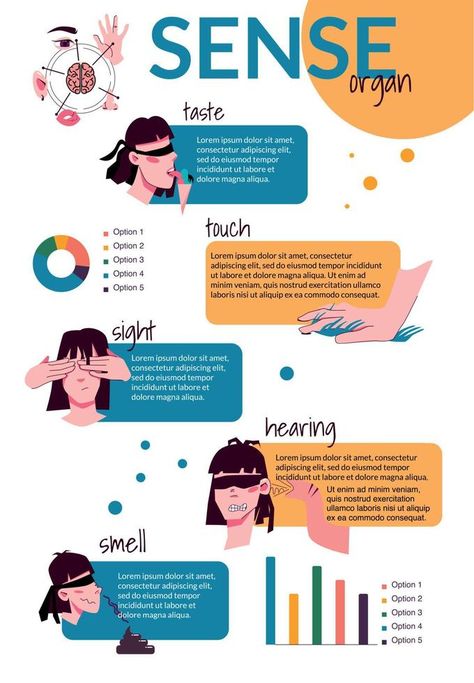 Sense Organs Flat Infographics Sense Organs, Doodle Human, Social Media Usage, Infographic Illustration, Human Head, Digital Artists, Image Illustration, Digital Image, Bar Chart