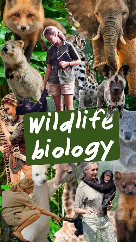 #wildlifebiology #zoology #wildlife #animals Zoology Aesthetic Wallpaper, Zoology Aesthetic, Zoology Career, Bohemian Background, Wildlife Biology, Wildlife Biologist, Vet Medicine, Zoo Keeper, Iphone Wallpaper Classy