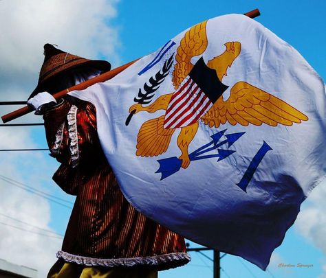 u.s. virgin islands flag Virgin Islands Tattoo, Virgin Islands Flag, Island Tattoo, Virgin Islands, Artistic Photography, Wind Sock, Tattoo Ideas, Flag, Tattoos