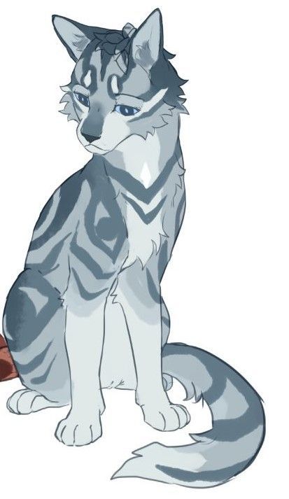 Warrior Cats Series, Warrior Cats Books, Warrior Cats Fan Art, Warrior Cat Oc, Cat Oc, Cat Doodle, Warrior Cats Art, Not Satisfied, Cat Character