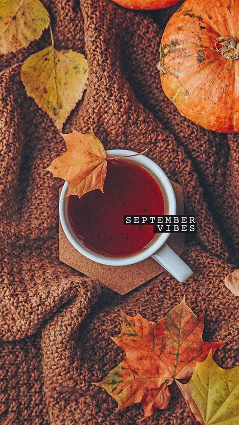 Welcome September: Cute social media posts for the first day of the month ⋆ The Aesthetic Shop First Of September, September Aesthetic, September Images, Fall Backgrounds Iphone, September Wallpaper, Welcome September, Seasons Months, First Day Of Autumn, Fall Mood Board