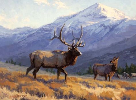 Elk painting Elk Pictures, Bull Elk, Hunting Art, Wildlife Prints, Deer Art, Wildlife Paintings, Arte Animal, Western Art, Wildlife Art