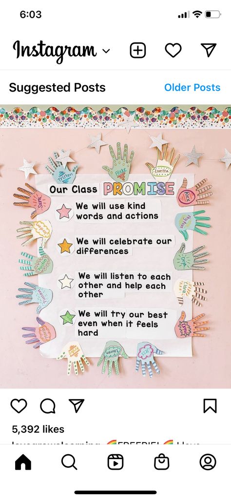 Class Charter Display, Classroom Charter, Class Jobs Display, Primary School Displays, Classroom Contract, Classroom Promise, Class Charter, Class Promise, Classroom Display Boards