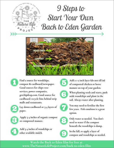 Grow Your Own Back to Eden Garden – The Nature Life Project Veggie Gardens, Nature, Permaculture, Back To Eden Garden, Gardening Therapy, Back To Eden, Gardening Activities, Edible Landscape, Eden Garden