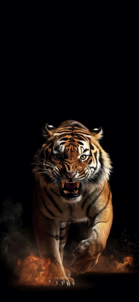 Tiger Wallpaper Iphone, Lion Hd Wallpaper, Geometric Wallpaper Iphone, Android Wallpaper Black, Gym Wallpaper, Tiger Artwork, Tiger Wallpaper, Tiger Pictures, Big Cats Art