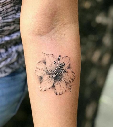 Star Gazer Lily Tattoo, Black Lily Flower, Lilly Flower Tattoo, Tiger Lily Tattoos, Tattoo Star, Lillies Tattoo, Lily Tattoo Design, Lily Flower Tattoos, 16 Tattoo