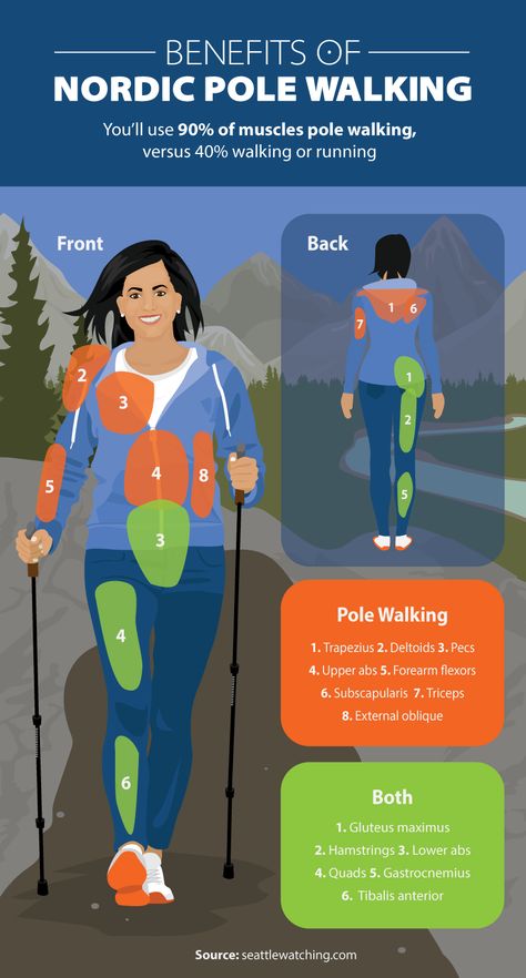 Great idea for getting in shape for hiking. Benefits of Nordic Pole Walking - Beginner’s Guide to Nordic Pole Walking Walking Images, Tomato Nutrition, Upper Abs, Calendula Benefits, Lemon Benefits, Coconut Health Benefits, Stomach Ulcers, Benefits Of Coconut Oil, Nordic Walking