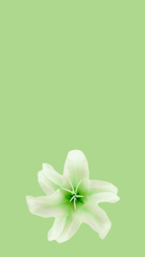 #wallpaper #nature #vibes #flowers #green #aesthetic Green Spiritual Aesthetic, Green Spiritual, Spiritual Aesthetic, Spirituality Affirmations, Nature Vibes, Wallpaper Nature, Flowers Green, New Phone, Green Aesthetic