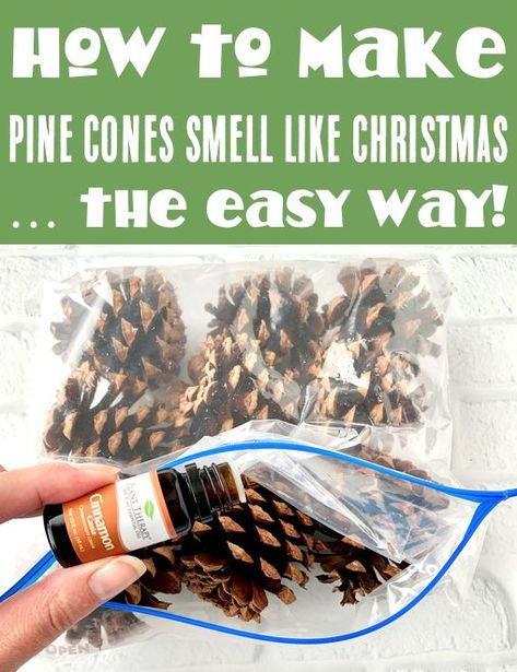 Pine Cone Crafts Pine Cone Crafts For Christmas, Scented Pine Cones, Crafts For Christmas, Pine Cone Christmas Decorations, Diy Cinnamon, Scented Pinecones, Cones Diy, Pinecone Crafts Christmas, Cozy Up Your Home