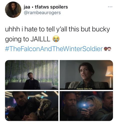 Wiener Soldier, Bucky Barnes Winter Soldier, The Winter Soldier, White Wolf, Avengers Funny, Marvel Memes, Bucky Barnes, Winter Soldier, Marvel Avengers