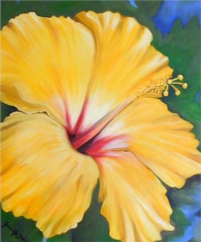 Oil Paintings Of Flowers | Flower Paintings by Key West Artist Janis Stevens Flower Paintings, Plant Drawing, Flower Art Painting, Arte Floral, Yellow Flower, Hibiscus Flowers, Painting Projects, Flower Drawing, Floral Painting