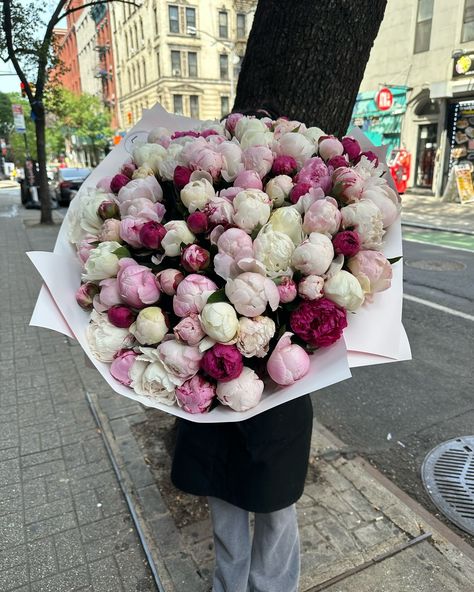 100 peonies process #peonies #peony #100peonies #peonias #peón #florist #flowers #nyc #newyork Flower Delivery, Peonies, Florist, New York, Flowers, On Instagram, Instagram