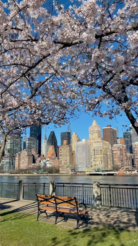 Nyc Spring, Spring In New York, Roosevelt Island, Nyc Aesthetic, Nyc Life, New York Aesthetic, New York Life, City Vibe, Nyc Trip