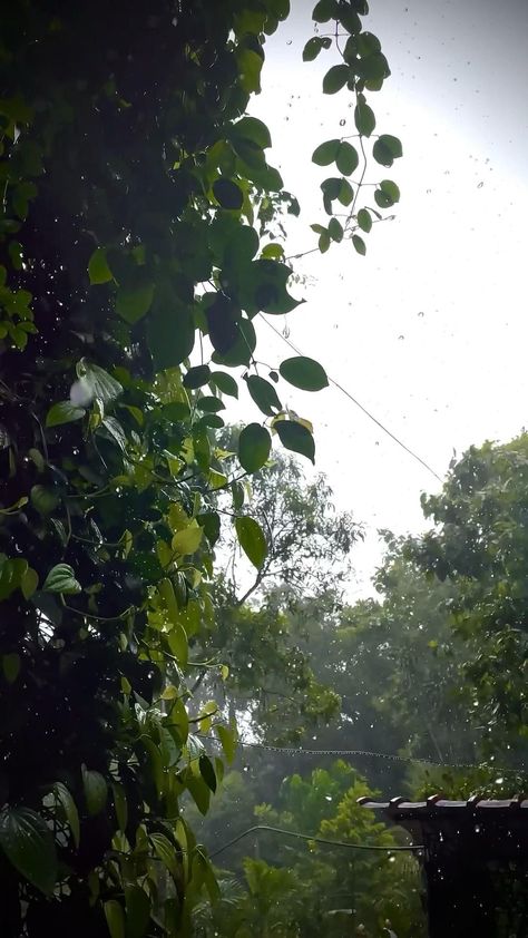 Ye pani ki bonda hajar Rainy Day Aesthetic, Night Sky Photography, Sky Photography Nature, Dark Nature Aesthetic, Amazing Nature Photography, Beautiful Images Nature, Beautiful Locations Nature, Cool Instagram Pictures, Nature Gif