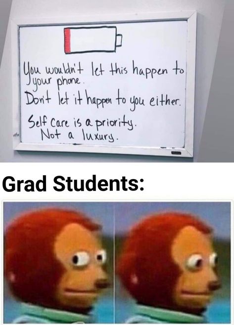 Grad School Funny, Grad School Humor, Grad School Meme, Phd Memes, Professor Vibes, Graduate School Humor, College Life Humor, Grad School Problems, College Jokes